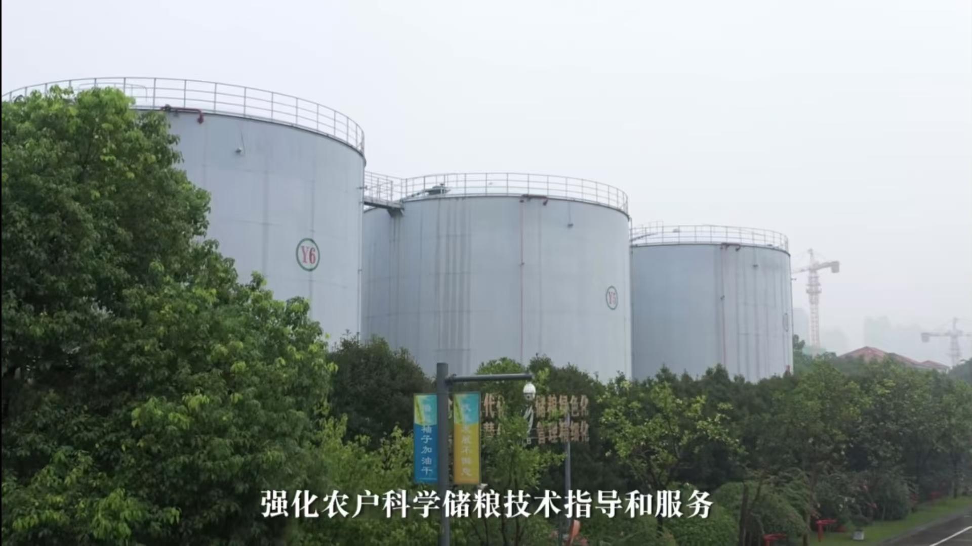 微信圖片_20241130165538